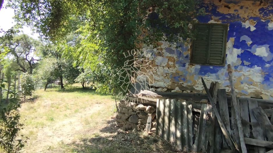 Teren intravilan 2828 mp+autorizatie casa-anexe-livada-Dorolea - Poză 7