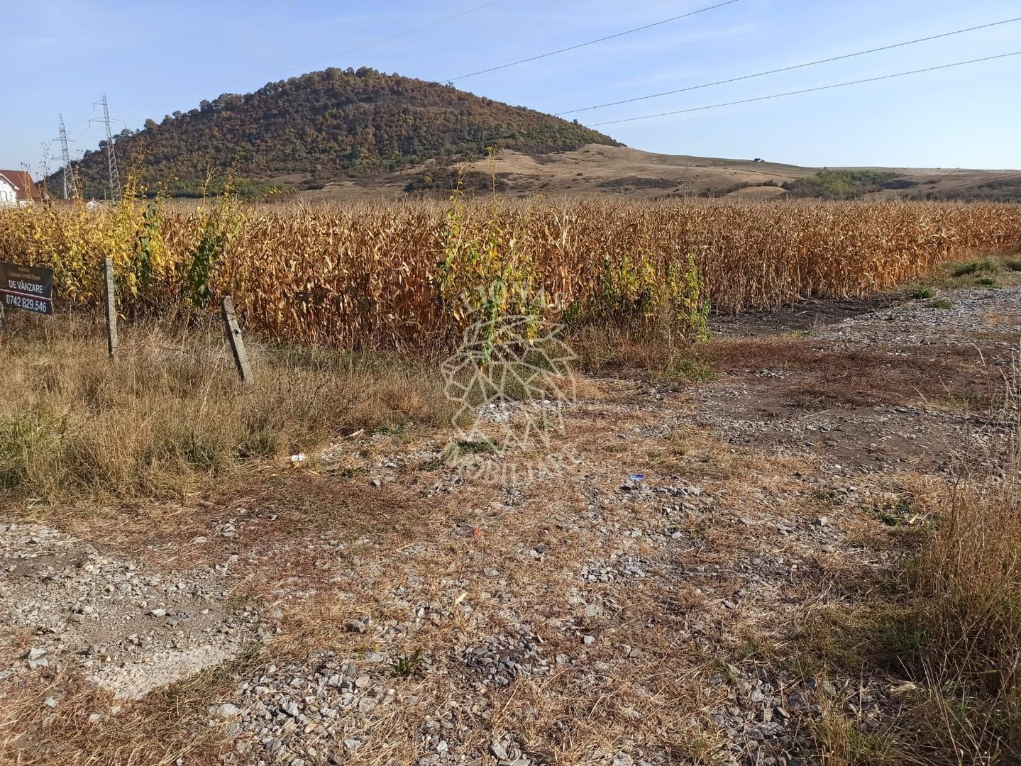 Parcele intre 770 mp si 4606 mp-ideal investitie-Sarata - Poză 6