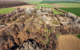 Ferma si livada de meri in judetul Ilfov - Poză 25