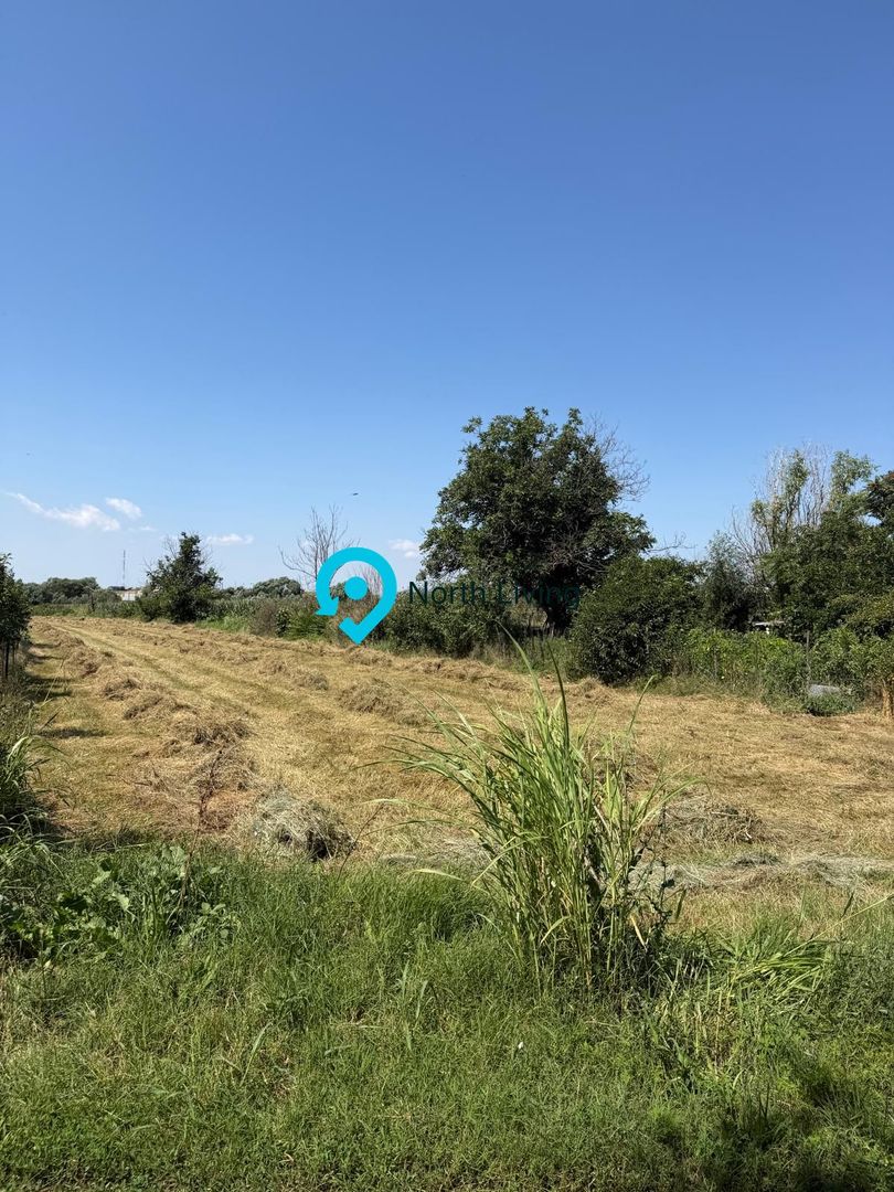Teren intravilan 4.000 mp Comana (Budeni) | 10 €/mp negociabil | Comis - Poză 4