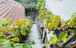 Casa spatioasa cu teren 739 mp in zona Mehala - Poză 21