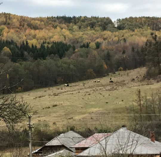 Vanzare teren intravilan cu utilitati trase, Babana - Poză 3