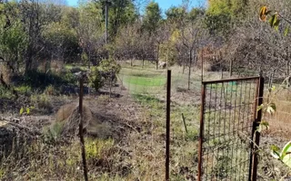 CASĂ 4 CAMERE\CARANSEBEȘ,JUD.CARAȘ-SEVERIN - Poză 23
