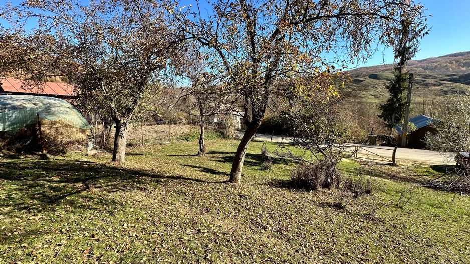 Teren 4044 mp, deschidere 60m, la 18 km de Campina, asfalt si curent - Poză 2