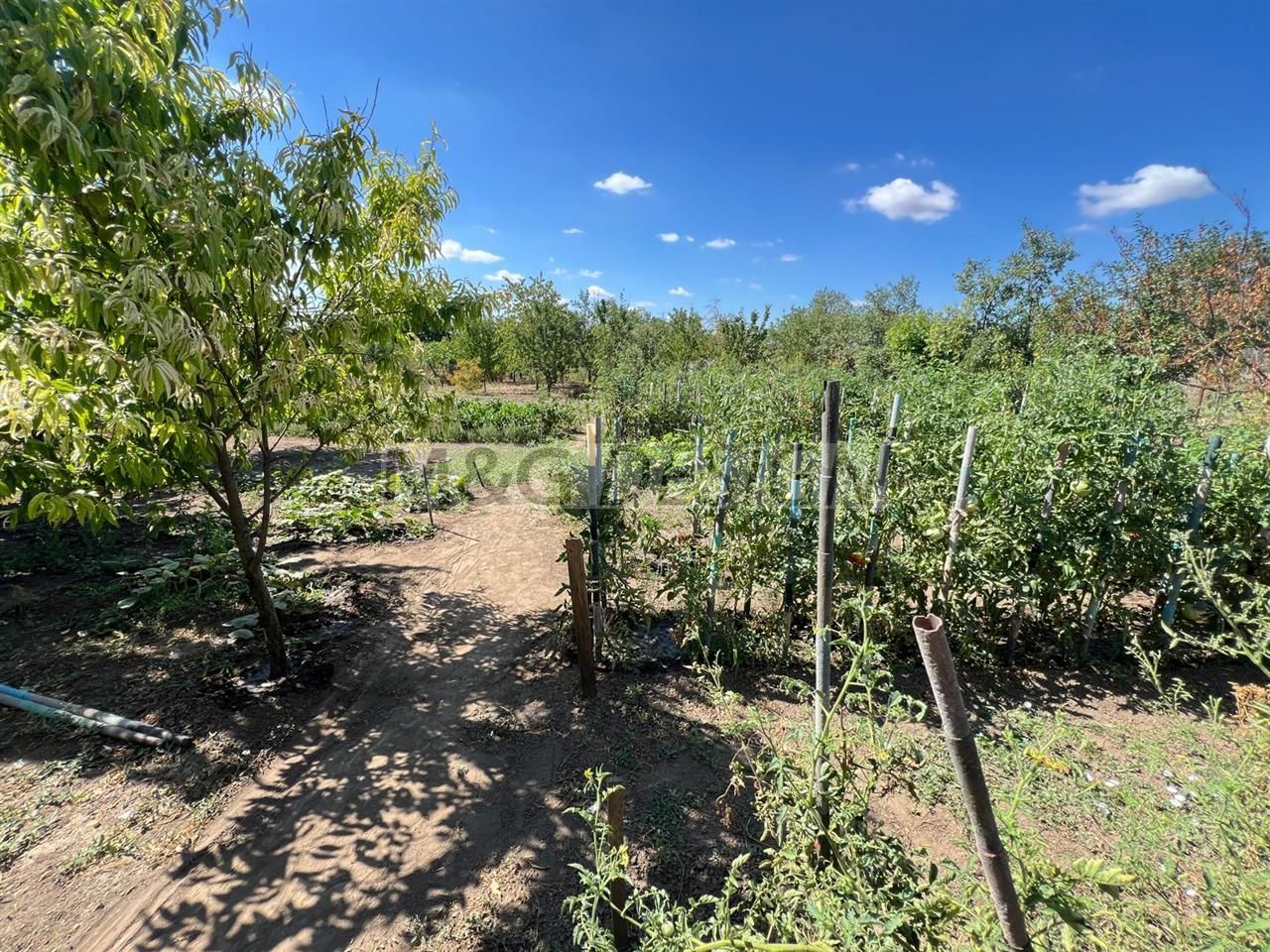 casa individuala Varias apa centrala pe gaz canalizare 1500mp - Poză 21