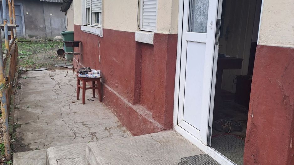 BRASADAS vinde casa în Someseni, comuna Apa - Poză 2