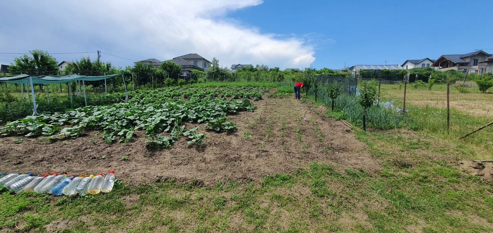 Teren INTRAVILAN 730 mp, zona FILATURII - Silver Mall; - Poză 1