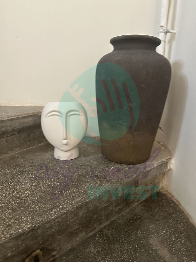 Vila interbelica AIRBNB "la cheie" - Poză 27