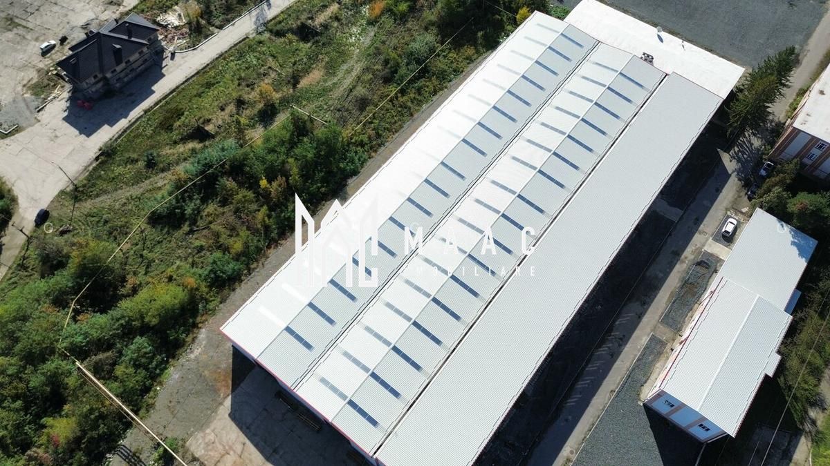 Hala producție I 6857 mp I Acces TIR I Pod Rulant I Mârșa - Poză 1