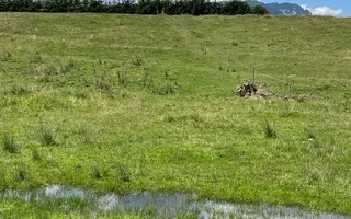 INVESTIȚIE | Teren 5000 mp PUZ APROBAT intravilan - zona Sohodol -Bran - Poză 11