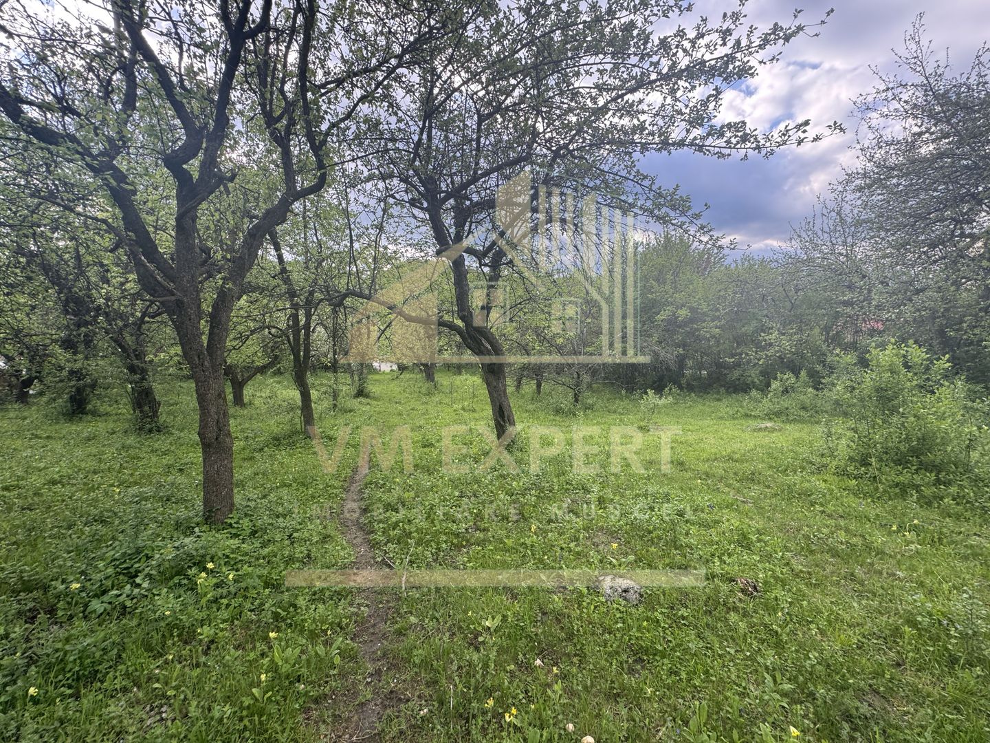 TEREN INTRAVILAN 7018 MP CAMPULUNG - Poză 16