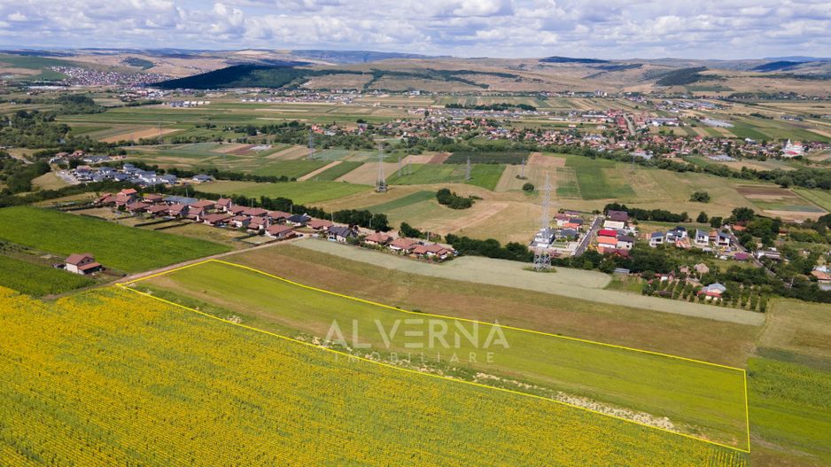 Teren constructii 10 parcele - 900mp | front 25m  |  Jucu de Sus - Poză 4