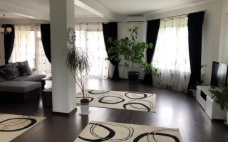 Vila 5 camere, Lebada - Poză 7