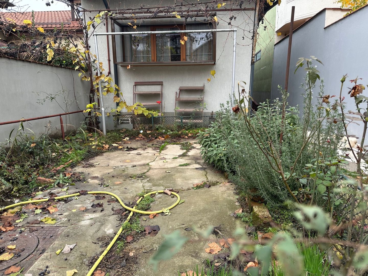 Inchiriere Casa-curte-1 Mai-Expozitiei - Poză 10