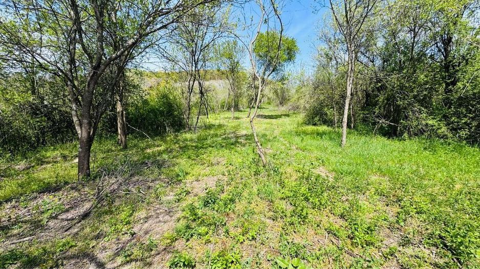 Casă renovată cu teren generos, la intrare în Ciurila. - Poză 1