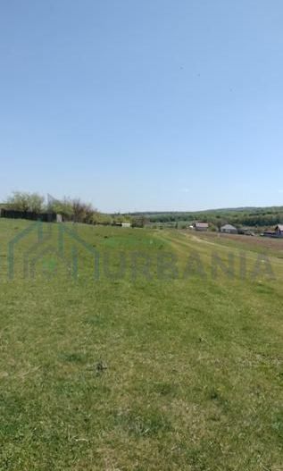 Teren extravilan 7.200 mp, Bordea - Grajduri, oportunitate investiție - Poză 2