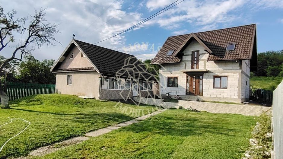 Doua Case 240 mp-teren 1328mp-livada-magazie-Cristesti Pascani - Poză 1