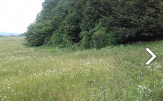 TEREM INTRAVILAN 2974 MP CAMPULUNG - Poză 2