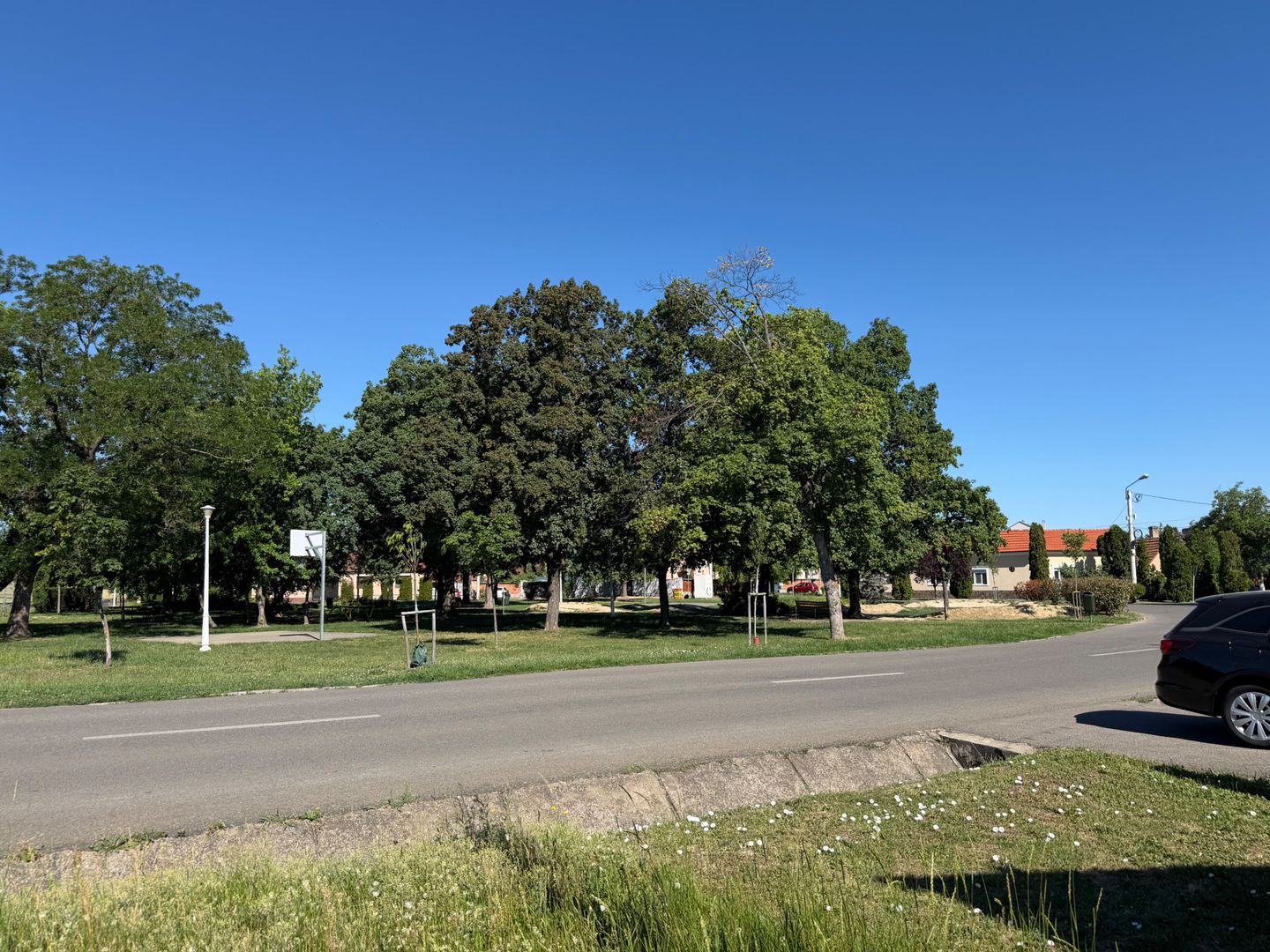 Teren 1000 mp in Iosia | Parcul Ghioceilor - Poză 1