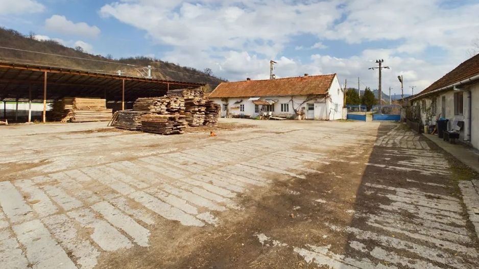 Hala industriala de inchiriat + Teren - Lipova - Poză 6