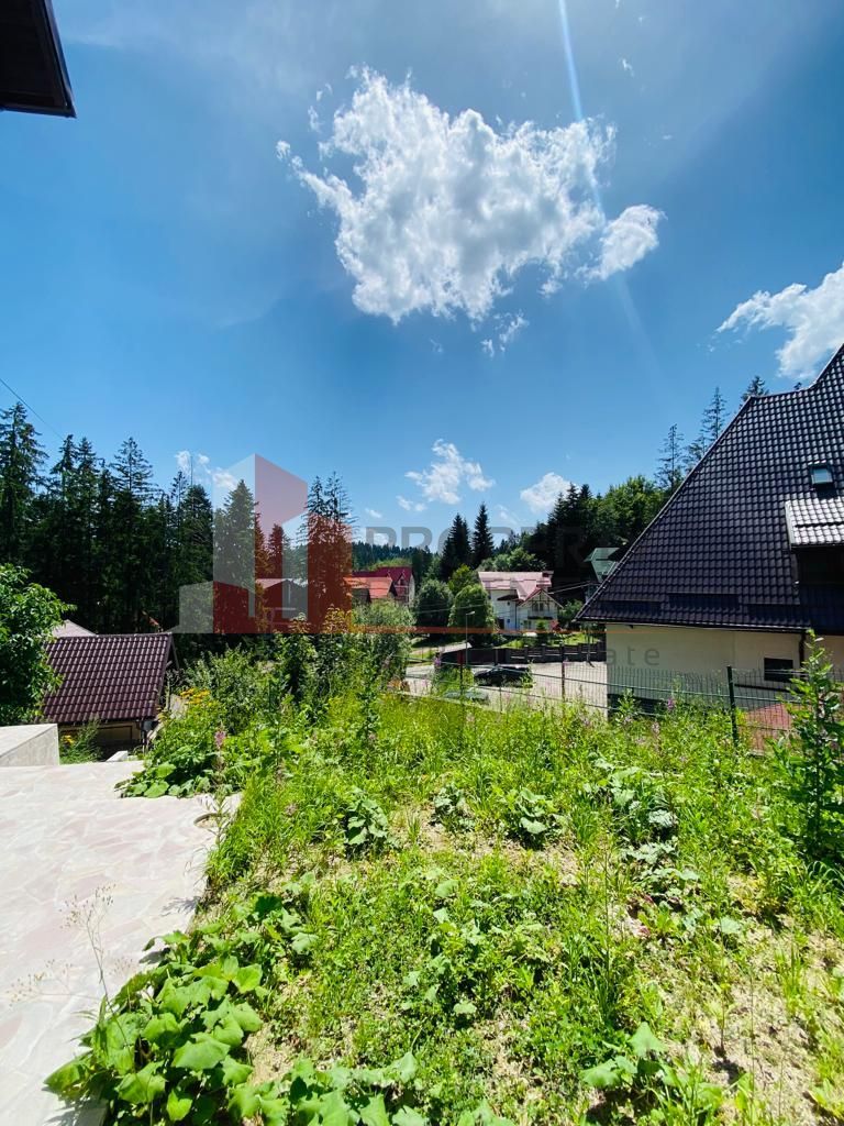 Vila Sinaia - Poză 4