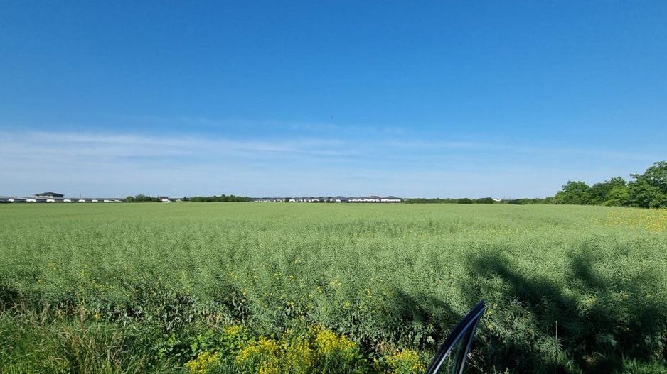 Ferma de Cultura Mare 1100 HA - Poză 7