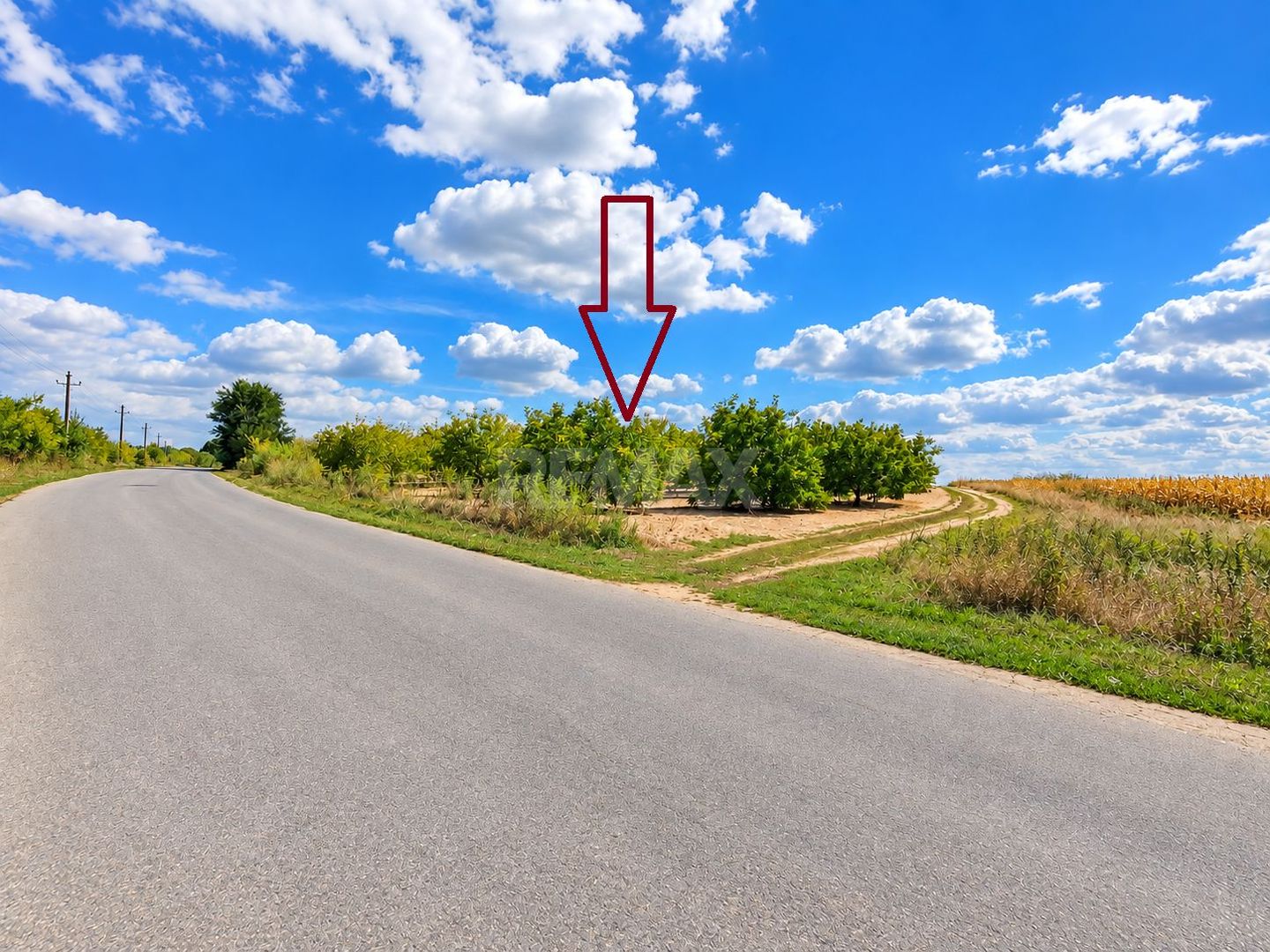 LIVADĂ DE NUCI – 24,5 HA | ȚÎNȚĂRENI, ANENII NOI - Poză 2