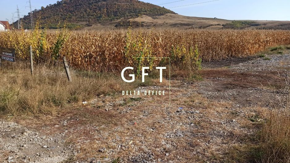 Teren intravilan 1000  mp ideal investitie Sarata - Poză 3