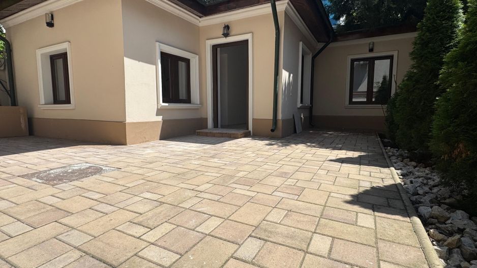 VILĂ CU POTENȚIAL MULTIPLU| HERASTRAU - Poză 2