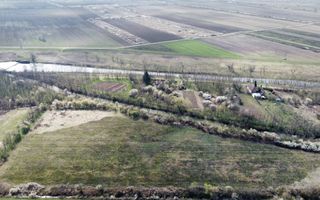 Teren intravilan Balint 22.500 mp - Poză 3