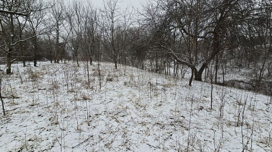 Casă și teren de vânzare în Colibași Dâmbovița Liniște Spațiu Natura - Poză 9