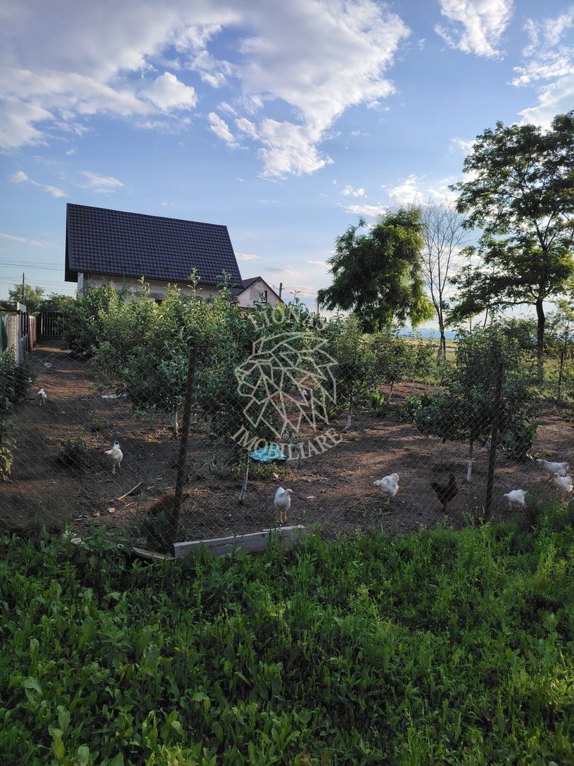 Doua Case 240 mp-teren 1328mp-livada-magazie-Cristesti Pascani - Poză 10