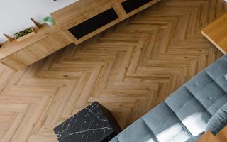 Proiect Modern in Dumbravita - Poză 12