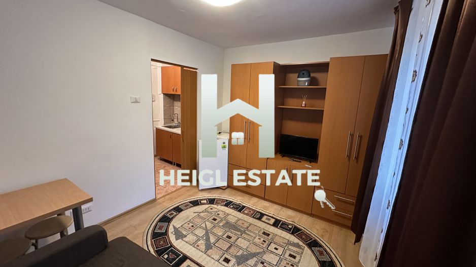 Apartament cu 1 camera in zona Buziasului - Poză 5