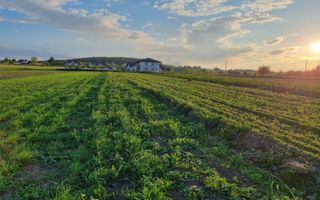 Teren intravila Ilișești - Poză 4