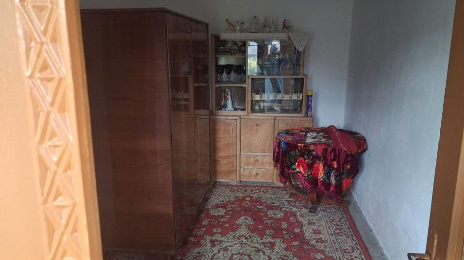 Casă tradițională cu teren generos – Borosteni, Peștișani, jud. Gorj - Poză 8