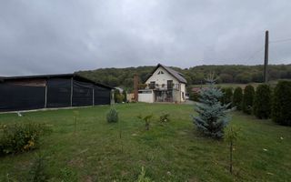 Casa de vanzare - Lupesti - Poză 13