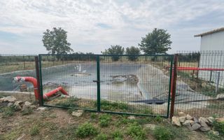 Proprietate industriala la 30 km exterior sud Timisoara - Poză 30