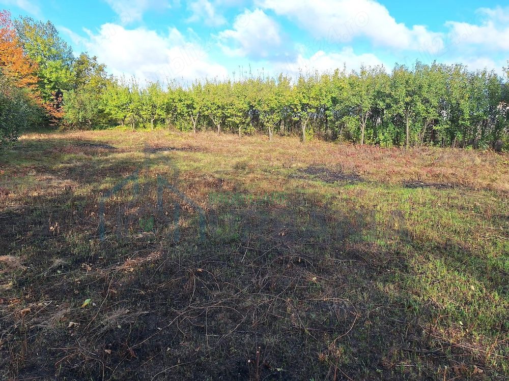 Terenuri intravilane în Horlești-Rediu, Iași, zone rezidențiale - Poză 4