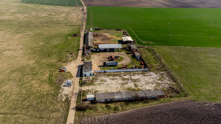 Teren intravilan cu potential multiplu in Horia - Poză 5