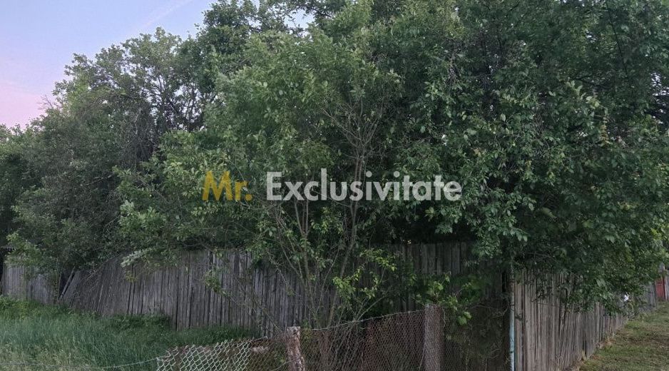 Casă cu 7.769 mp teren și pădure | Budieni | 53.000€ - Poză 2
