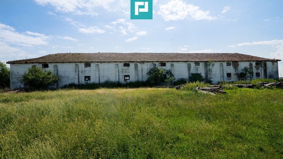 Hală industrială cu teren generos în Zărand, Arad - Poză 8