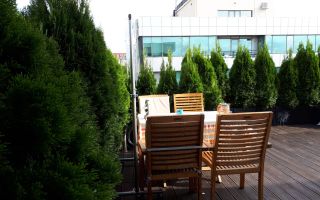 Penthouse 4 camere 128 m² | Terasă proprie ~80 m² | Zona Domenii - Poză 4