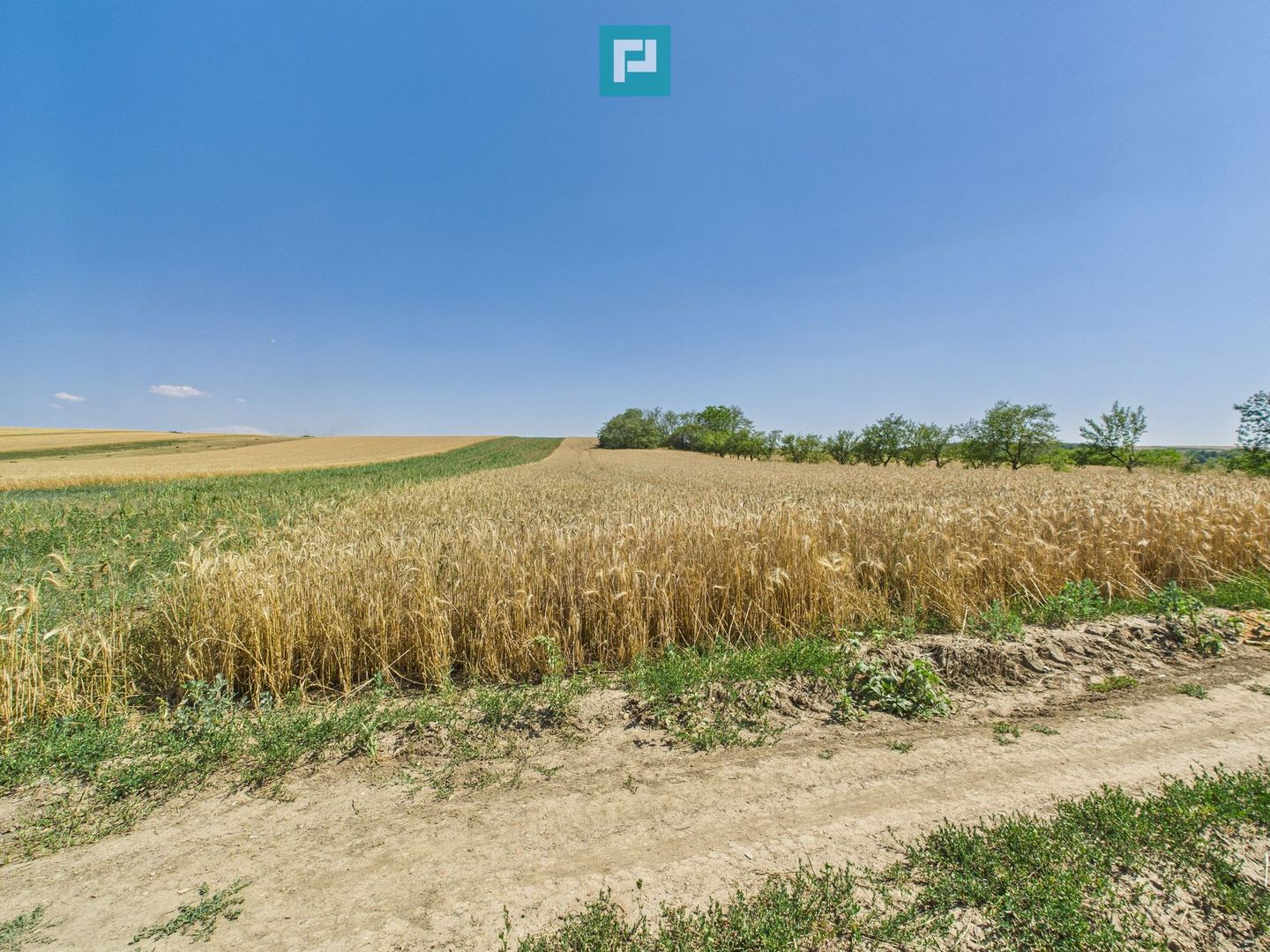 Teren intravilan + extravilan în Remetea Mică - Poză 9