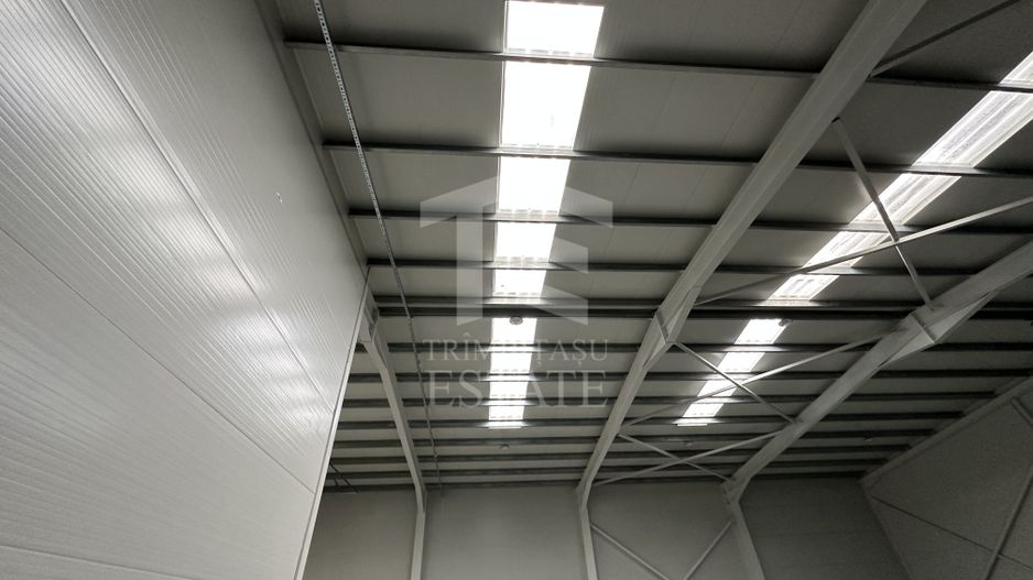 CENTURA - Rudeni | HALA 510 mp| Birouri 60mp | Parc Industrial nou - Poză 7