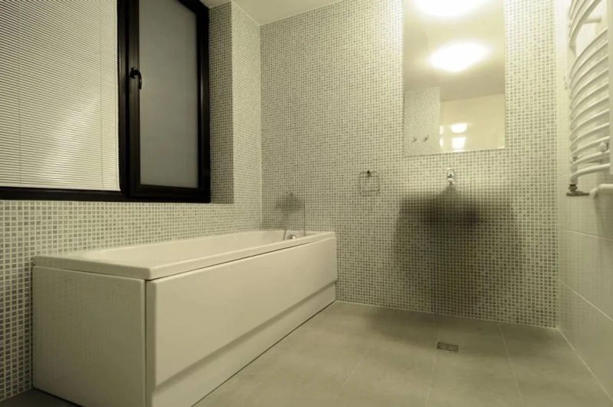 Închiriere apartament | Complex Privighetorilor Băneasa Iancu Nicolae - Poză 5