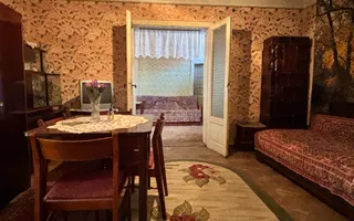 Casă cu etaj în Salonta | 996 mp | Grădină & livadă - Poză 12