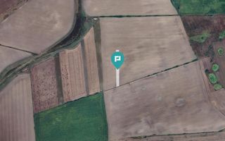 Teren agricol 3200 mp în Caporal Alexa - Poză 4