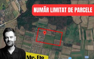 Terenuri Premium lângă Pădurea Bistra – Oportunitate Limitată