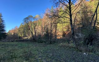 Teren 2.882 mp – oportunitate investitie - Cheile Dâmbovicioarei - Poză 7